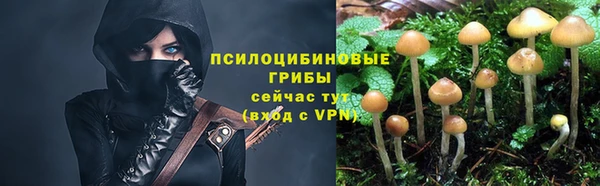 метамфетамин Аркадак