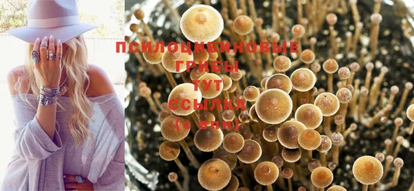 метамфетамин Аркадак