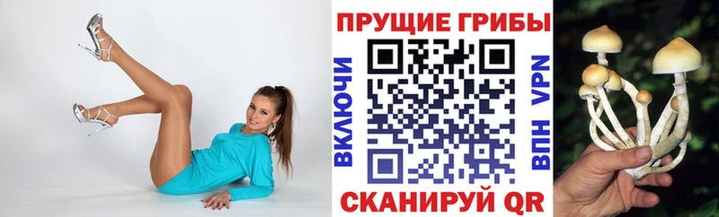 Галлюциногенные грибы мицелий  Мезень 